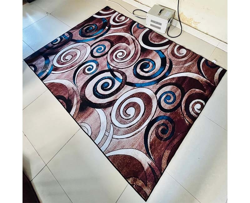 Tapis de Salon